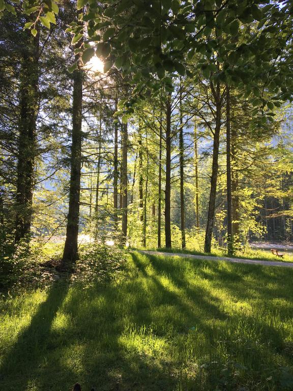 Landhaus Lilly Obertraun Buitenkant foto